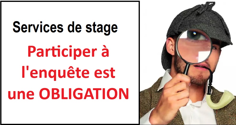 Services de stage 2024-2025: enquête du RSL 